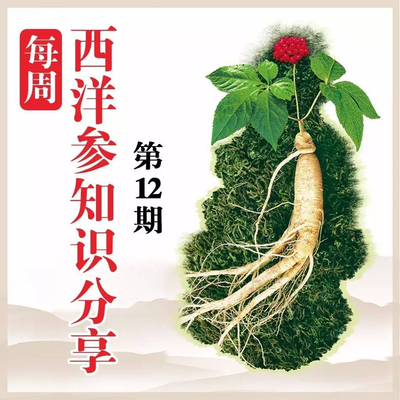 樂陶陶西洋參小知識每日分享(周五合集12) 探索黑參產(chǎn)品的奧秘